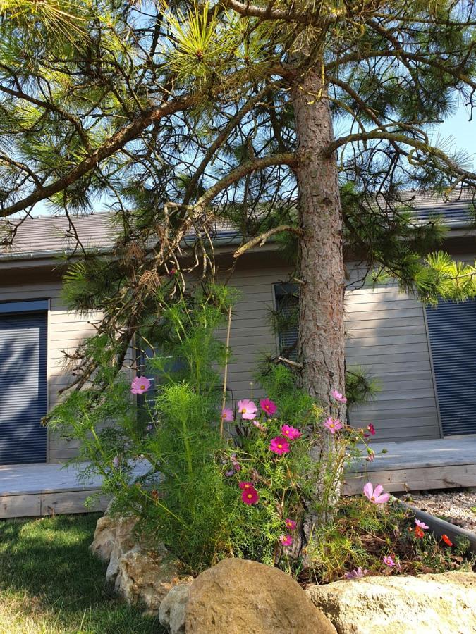 Cosy Wood House Bed and Breakfast Laubressel Εξωτερικό φωτογραφία
